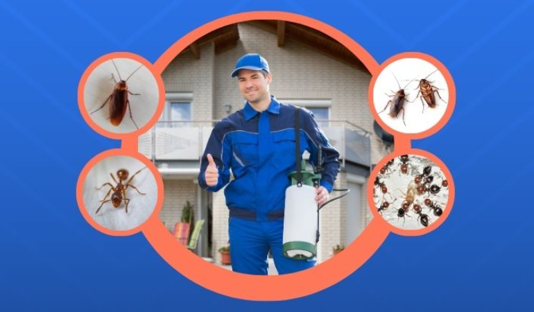 Karınca ve Hamamböceği İlaçlama